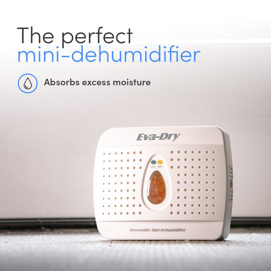 Eva Dry E-333 Mini Dehumidifier